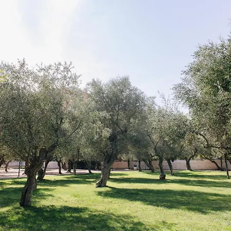 Brezza Di Bari, Terrace & Free Parking, Family And Group By Leviora Collection Apartamento